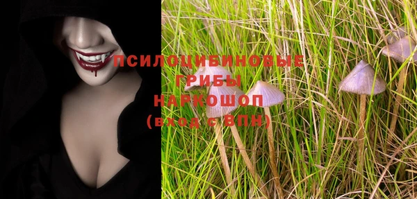 ПСИЛОЦИБИНОВЫЕ ГРИБЫ Верхний Тагил